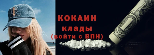 прущие грибы Балабаново
