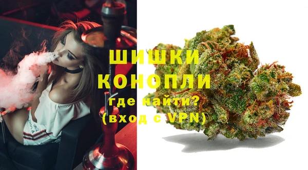прущие грибы Балабаново