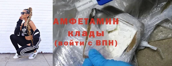 прущие грибы Балабаново