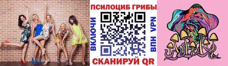 Псилоцибиновые грибы Cubensis купить закладку Сосновоборск