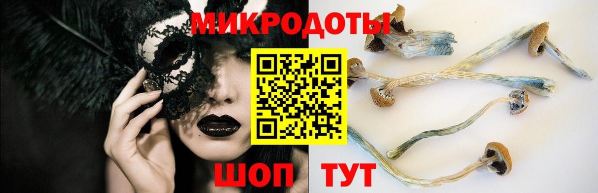 Псилоцибиновые грибы мицелий  Вход с VPN  Сосновоборск 